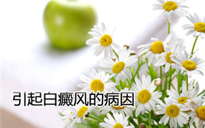 ͯĲЩ