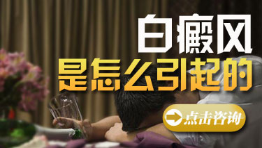 http://www.njbdf.cn/